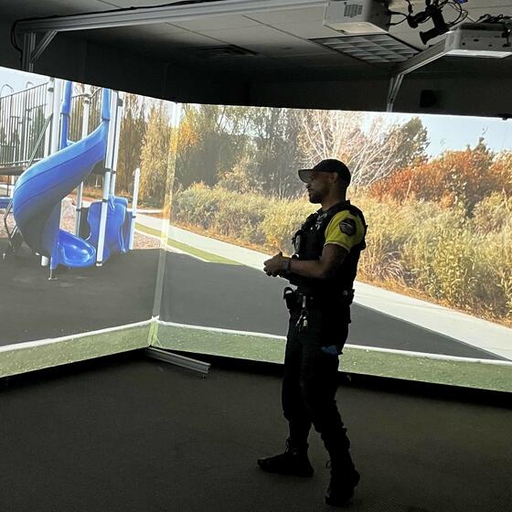 simulator 